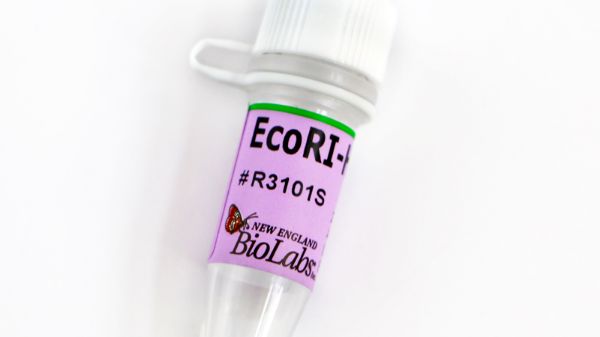 Picture of (S) EcoRI-HF