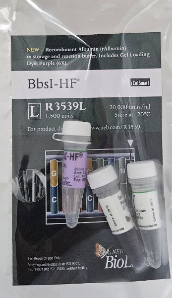 Picture of (L) BbsI-HF