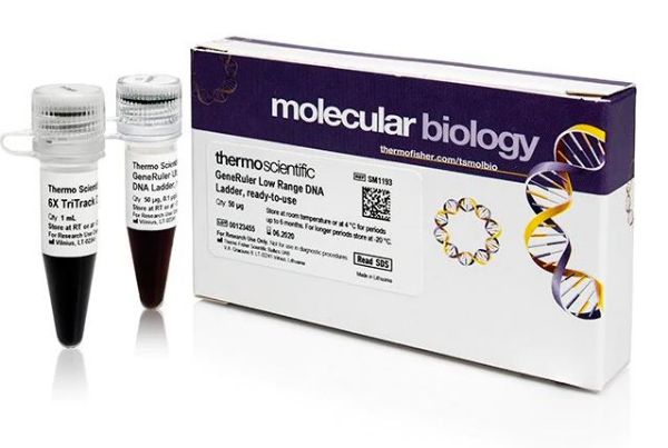 Picture of GeneRuler(TM) Low Range DNA Ladder ready-to-use, 50 ug