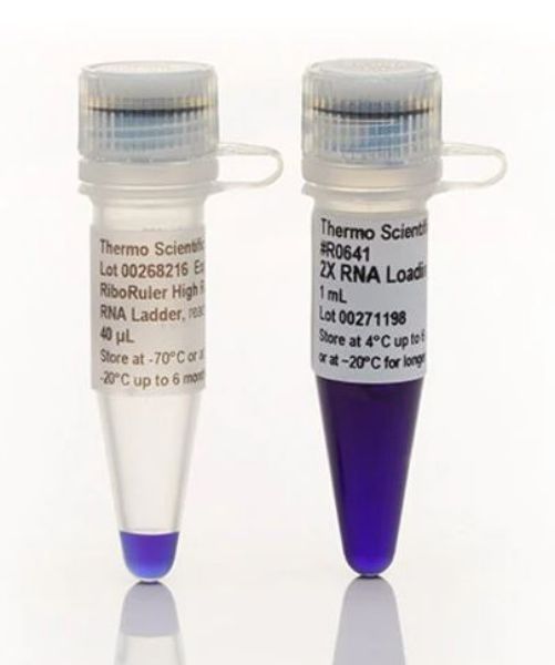 Picture of RiboRuler High Range RNA Ladder, ready-to-use (5 x 40ul)