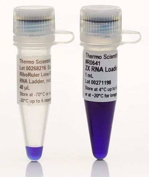 Picture of RiboRuler Low Range RNA Ladder, ready-to-use (5 x 40ul)