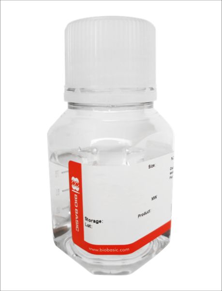 Picture of Water, Ultra Pure, Free of Dnase, Rnase, Protease, Endonuclease (100mL)