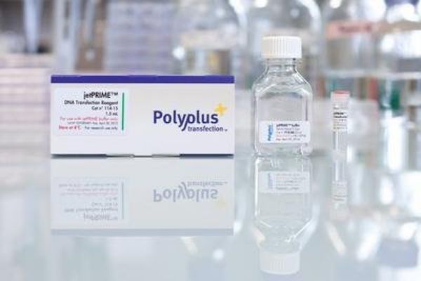 Picture of jetPRIME DNA & siRNA Transfection Reagent kit (1.5mL/kit)