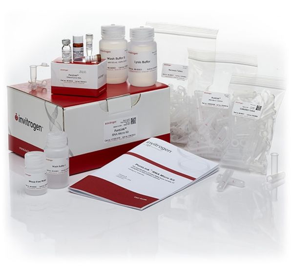 Picture of PureLink RNA Micro Scale Kit (50 preps)