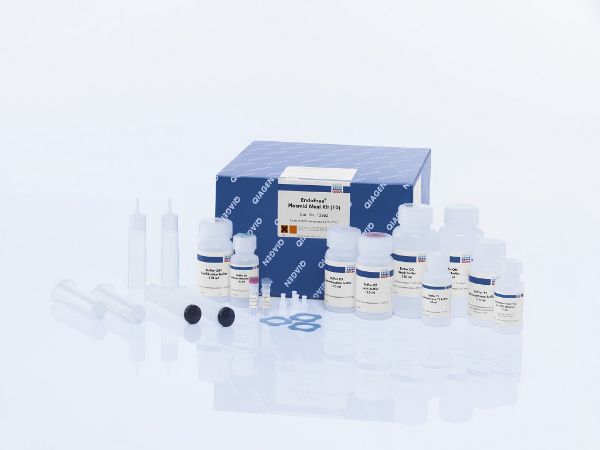 Picture of Endofree Plasmid Maxi Kit (10)