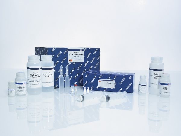 Picture of QIAGEN Plasmid Plus Midi Kit (25)