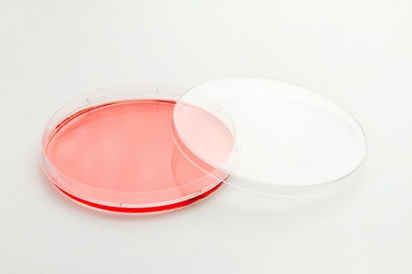 Picture of NUNC, Dish, 100mm x (20 to 22)mm, Treated, Polystyrene, Round, Sterile