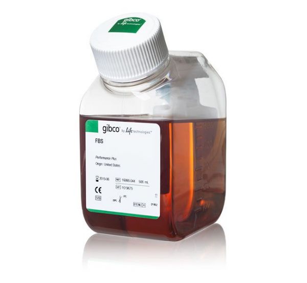 Picture of Foetal Bovine Serum, Certified (US origin)