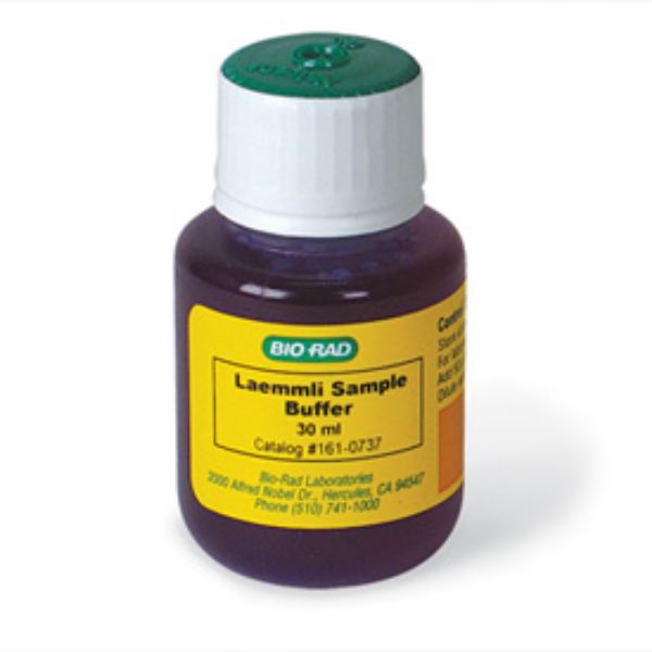 Picture of Laemmli Sample Buffer, 30mL