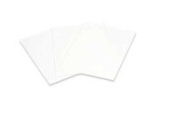 Picture of Thick Blot Filter Paper, Precut, 7.5 x 10 cm