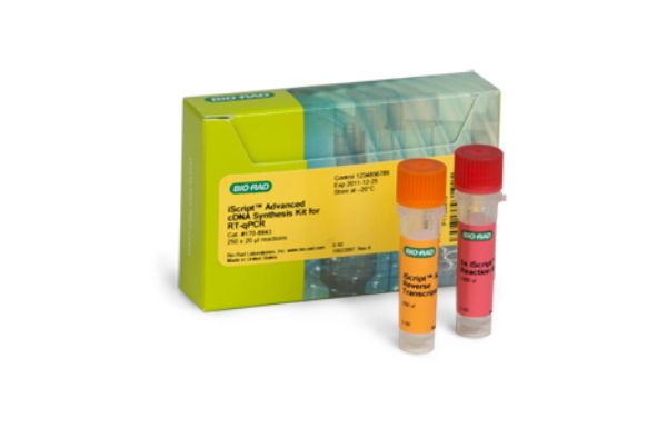 Picture of iScript Advanced cDNA Synthesis Kit for RT-qPCR, 100 rxns
