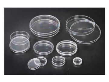Picture of SPL, Dish, 90mm x (15-20) mm, TC-Treated, Polystyrene, Round, Sterile