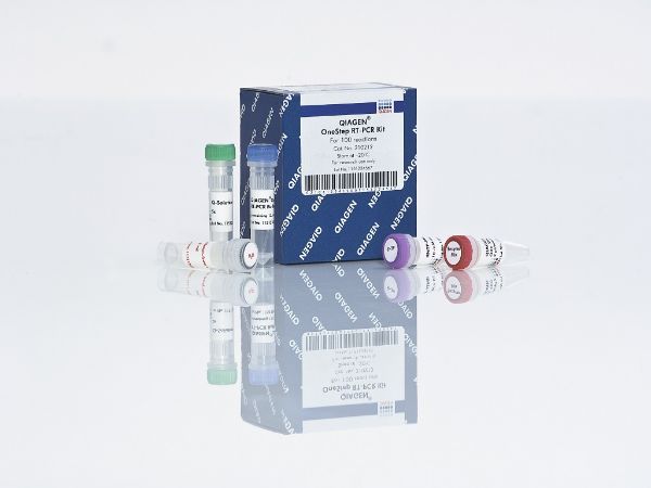 Picture of QIAGEN OneStep RT-PCR Kit (100)