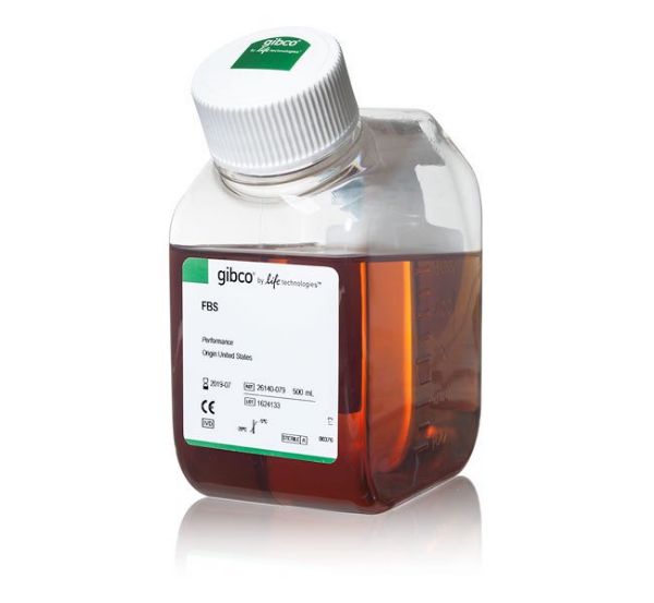 Picture of Foetal Bovine Serum, Qualified (US origin)