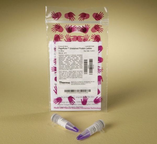 Picture of PageRuler Unstained Protein Ladder ( 2 x 250 ul )