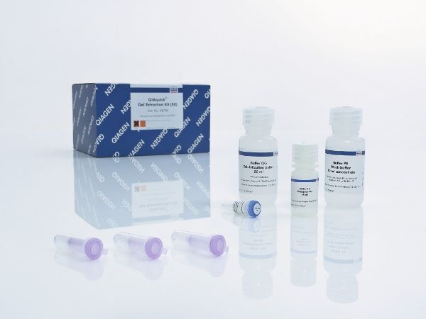 Picture of QIAquick Gel Extraction Kit (50)