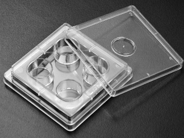 Picture of Tissue Culture Test Plate, 4-well