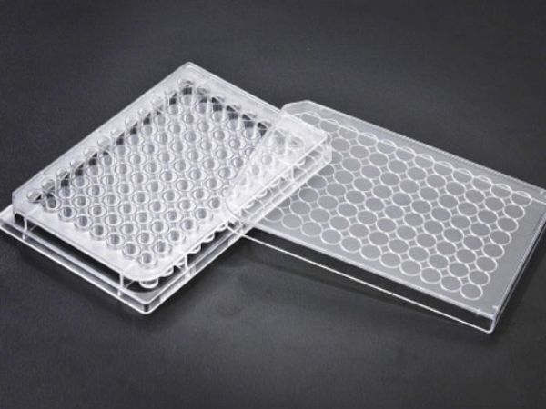 Picture of SPL (340-400uL) Plate, 96-Well, TC-Treated, Polystyrene, F-Bottom, Sterile, Clear
