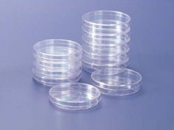 Picture of TC Petri Dish 60mm