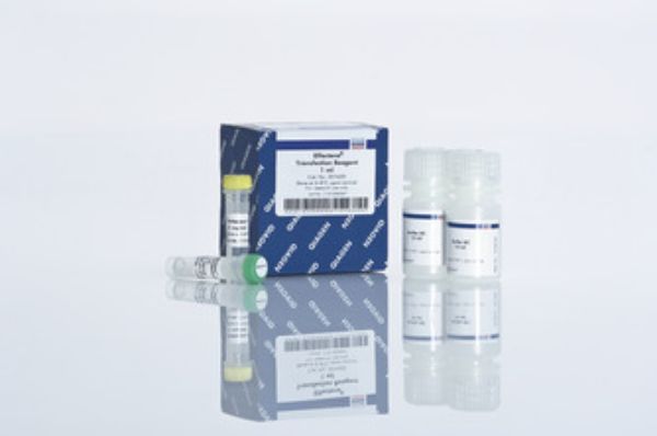 Picture of Effectene Transfection Reagent  - 4 x 1ml