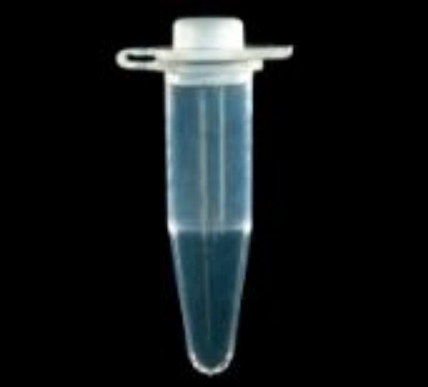 Picture of Tube PCR, 0.5ml, Dome Top, Natural