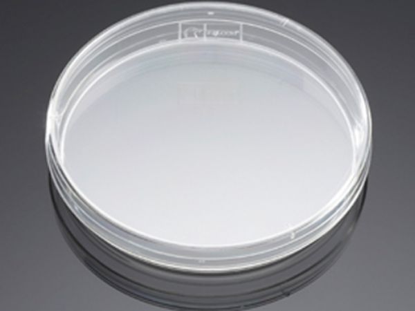 Picture of Petri Dish, 100 mm x 15 mm
