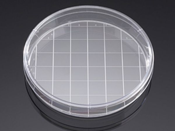 Picture of Falcon 150mm x 25mm Style Cell Culture Dish with 20mm Grid Molded in Base, Tissue Culture-Treated