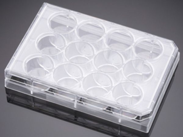 Picture of Tissue Culture Plate, 12-well flat bottom with lid