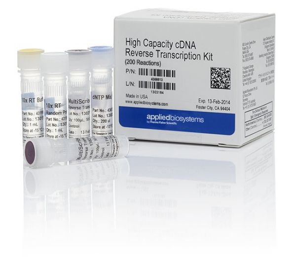 Picture of Kit, High Capacity CDNA RT (1000 Rxns)