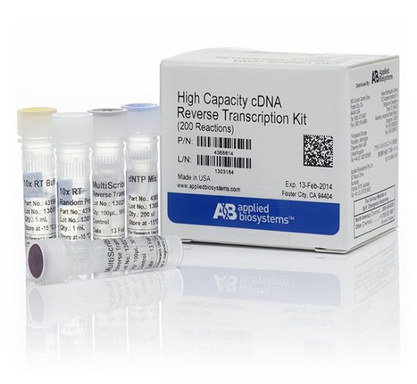 Picture of Kit, High Capacity CDNA RT (200 Rxns)