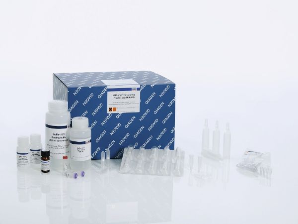 Picture of QIAamp Circulating Nucleic Acid Kit (50)