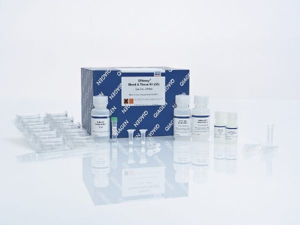 Picture of DNeasy Blood & Tissue Kit (50)