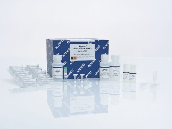Picture of DNeasy Blood & Tissue Kit (250)