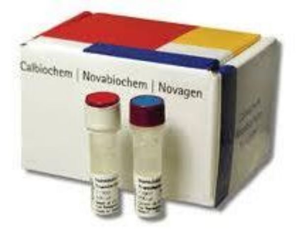 Picture of KOD Hotstart DNA Polymerase (200U)