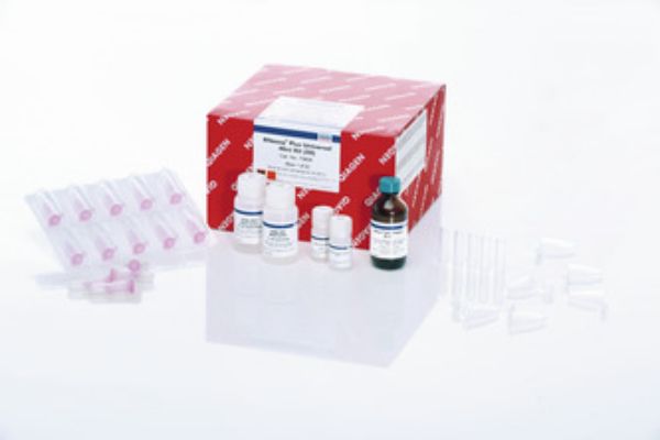 Picture of RNeasy Plus Universal Mini Kit (50)