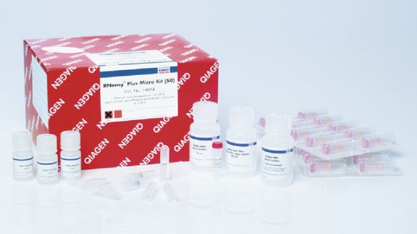 Picture of RNeasy Plus Mini Kit (50)