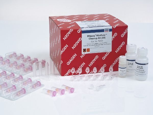 Picture of RNeasy MinElute Cleanup Kit (50)