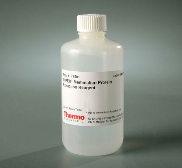 Picture of M-PER Mammalian Protein Extraction Reagent, 250 ML