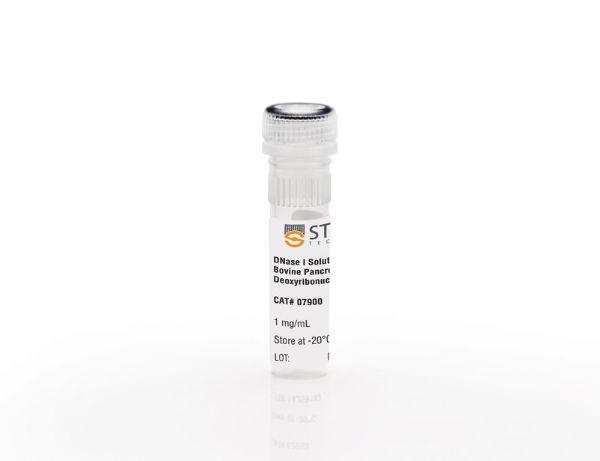 Picture of Dnase I Solution (1mg/mL)