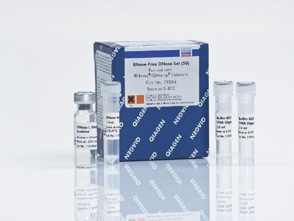 Picture of RNase-Free DNase Set - 1500units  for 50 RNA minipreps