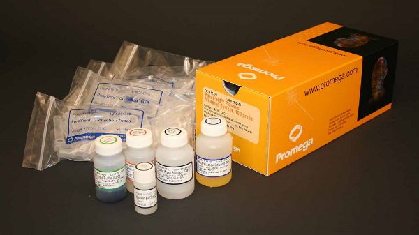 Picture of PureYield Plasmid Miniprep System, 250 preps