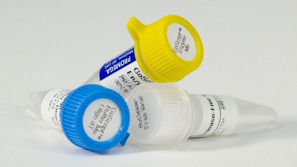 Picture of GoScrip Reverse Transcriptase System, 50 reactions