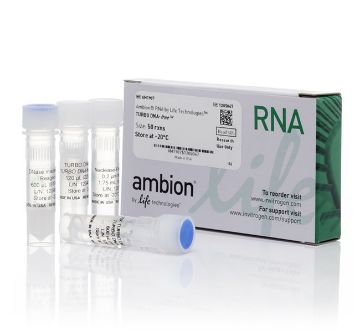 Picture of Turbo DNA-free Kit 50 (50 reactions)