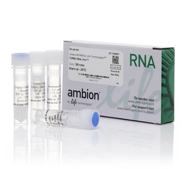 Picture of Turbo DNA-free Kit 50 (50 reactions)