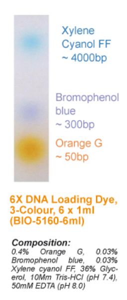 Picture of Tri-Color 6X DNA Loading Dye, 6 x 1ml