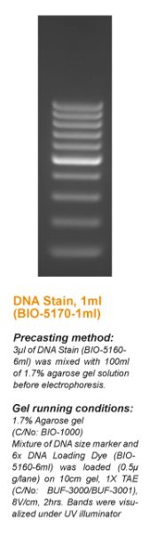 Picture of SYBR Nucleic Acid Gel Stain – Florosafe DNA Stain (Less hazardous)