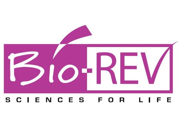 Picture of L Wnt-3A MOUSE FIBROBLAST [ BSL-1 FROZEN ]