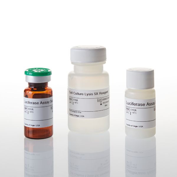 Picture of Luciferase Assay System