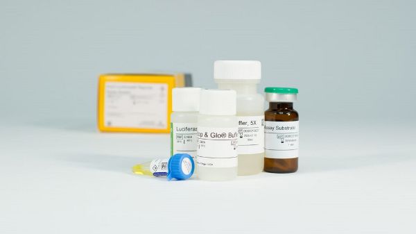 Picture of Dual-Luciferase Reporter Assay System, 100 assays