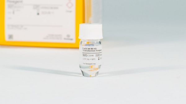 Picture of FuGENE HD Transfection Reagent 1m